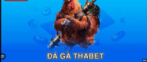 Đá gà Thabet